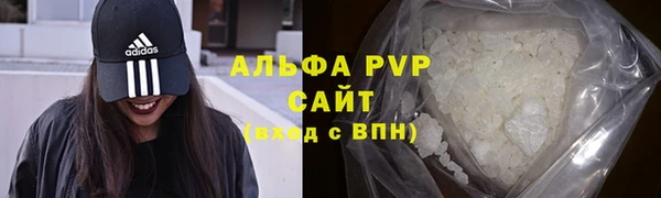 ГАЛЛЮЦИНОГЕННЫЕ ГРИБЫ Покров