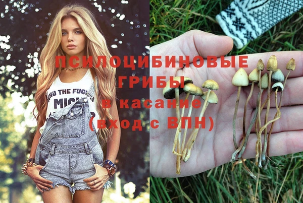 прущие грибы Кулебаки