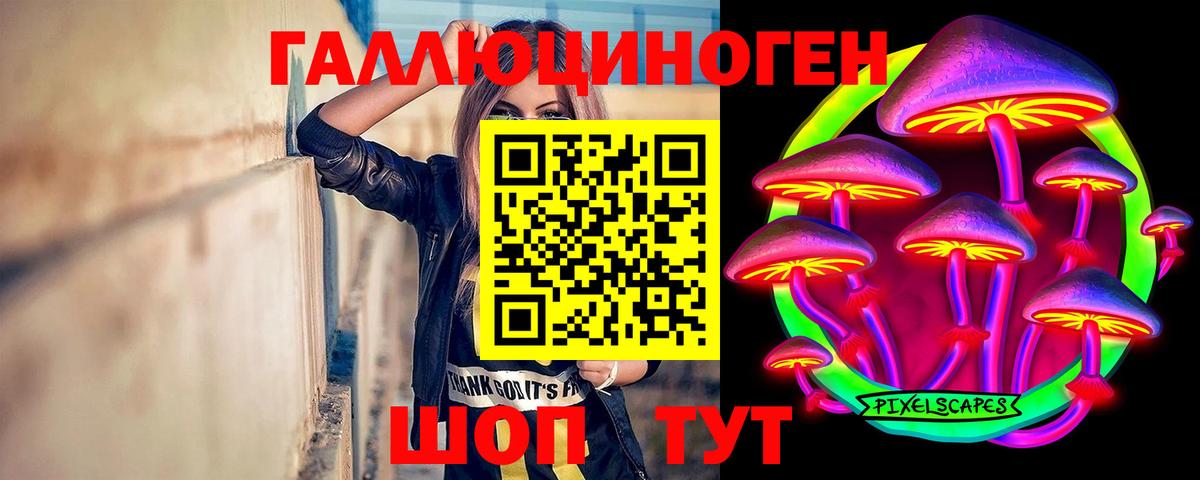 Псилоцибиновые грибы Cubensis  Вход с VPN  Муром 