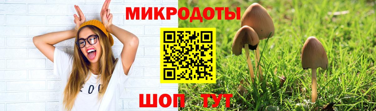 Псилоцибиновые грибы ЛСД Муром